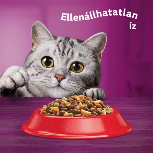 Whiskas száraz macskaeledel marhával 14kg