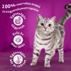 Whiskas száraz macskaeledel marhával 14kg