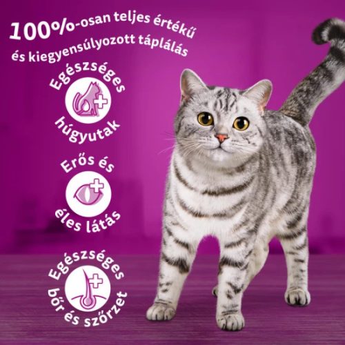 Whiskas száraz macskaeledel marhával 14kg