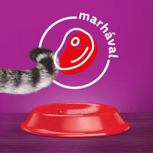 Whiskas száraz macskaeledel marhával 14kg
