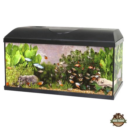 Akvárium Szett+Szűrő+Fűtő Pacific Eco Light 54l, 60x30x30cm