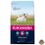 Eukanuba Adult Small kutyatáp 3kg