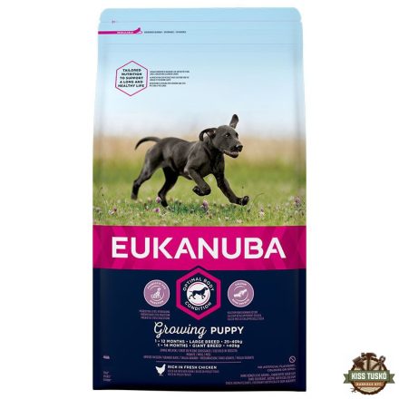 Eukanuba Puppy Large kutyatáp 3kg