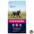 Eukanuba Puppy Large kutyatáp 3kg