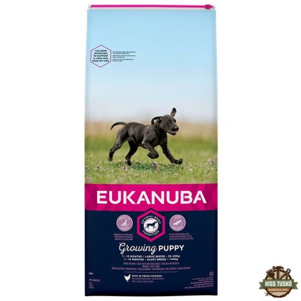 Eukanuba Puppy Large kutyatáp 15kg