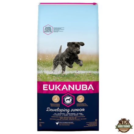 Eukanuba Junior Large kutyatáp 15kg
