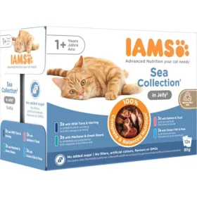   Iams Cat Delights alutasak Sea in jelly Multipack, többféle halas íz, zamatos aszpikban 12x85g