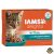 Iams Cat Delights Kitten & Junior csirke falatkák ízletes szószban, multipack 12x85g