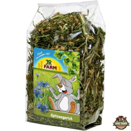JR Farm Lándzsás útifű 100g