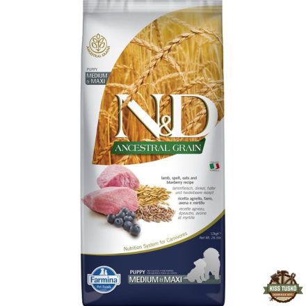 N&D Ancestral Grain Dog bárány, tönköly, zab&áfonya puppy medium&maxi 12kg