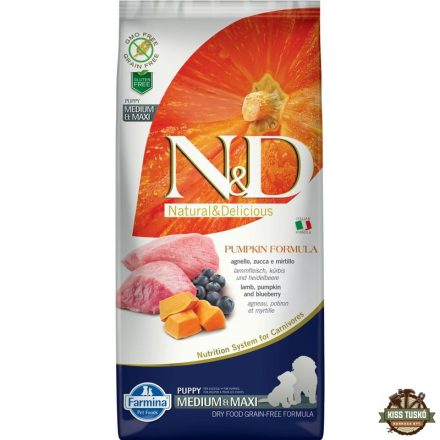 N&D Dog Grain Free bárány & áfonya sütőtökkel puppy medium/maxi 12kg