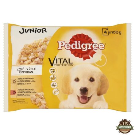 Pedigree Alutasakos 100g 4-Pack Junior Csirke & rizs, Marha & rizs Multipack
