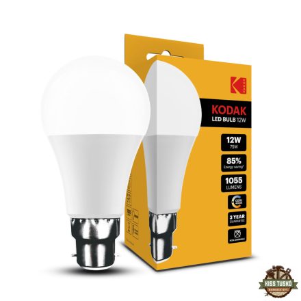 KODAK Max LED Izzó Globe A60 12W B22 270° 4000K (1055 lumen)