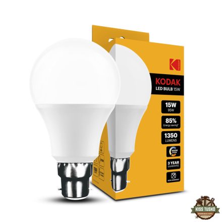 KODAK Max LED Izzó Globe A65 15W B22 270° 2700K (1350 lumen)