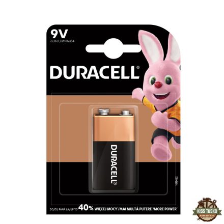 Duracell Basic Alkáli 9V Elem (MN1604) B1