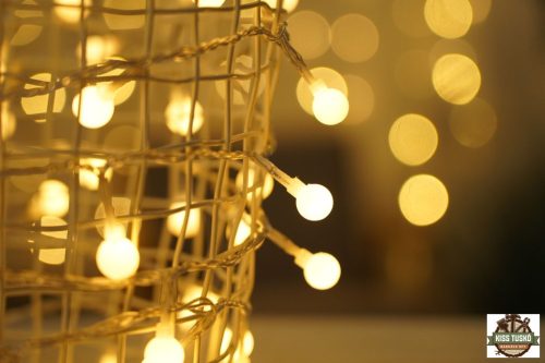 Modee Karácsonyi LED Füzér Berry Plastic Adapteres (100LED/10m/10cm) warm