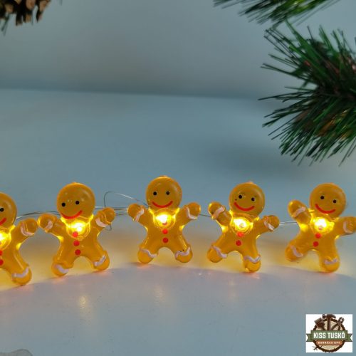 Modee Karácsonyi LED Füzér Dekor Elemes C3024 (10LED/90cm/10cm) warm