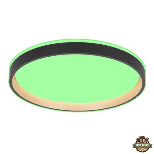 Modee Mennyezeti LED Lámpa CLGBK 30W 3CCT+RGB D390mm +rem (2000 lumen) ERP