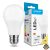 Modee Lighting LED Izzó Globe A60 11W E27 200° 2700K (1055 lumen) ERP