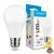 Modee Lighting LED Izzó Globe A60 8,5W E27 200° 2700K (806 lumen) ERP