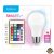 Modee LED Smart (Remote) Globe (Gömb) A60 9,4W E27 270° RGB+W (806 lumen)