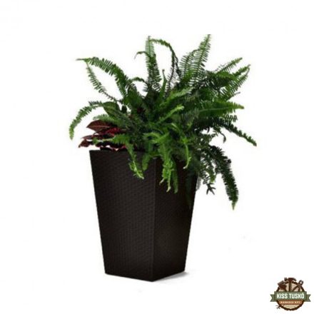 Rattan Planter M virágtartó