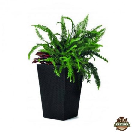 Rattan planter S virágtartó