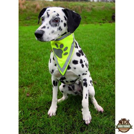 Trixie Biztonsági Kendő Kutyának L–xl 43–60cm