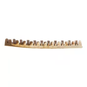Trixie Jutalomfalat Denta Fun Vegán Csont, 22cm, 85g