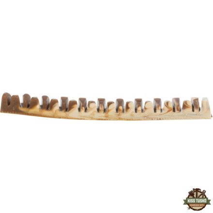 Trixie Jutalomfalat Denta Fun Vegán Csont, 22cm, 85g