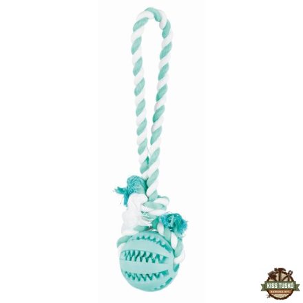 Trixie Játék Denta Fun Labda Kötéllel/24cm