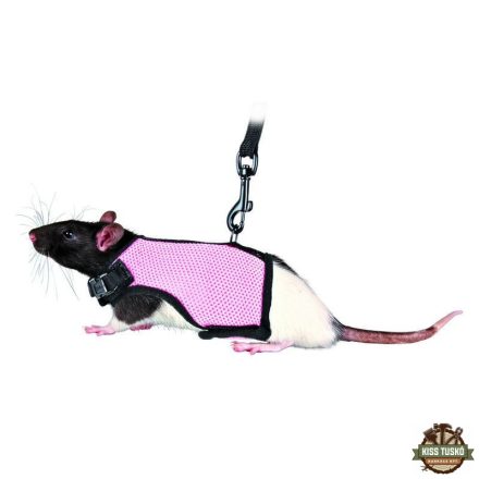 Trixie Hám Pórázzal Nylon Rágcsálóknak Strapabíró 12–18cm 1,20cm