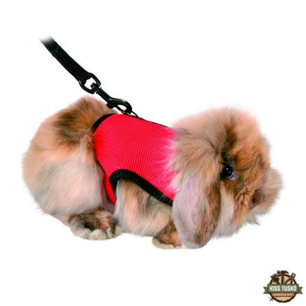 Trixie Hám Pórázzal Nylon Rágcsálóknak Strapabíró 18–25cm 1,20cm