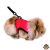 Trixie Hám Pórázzal Nylon Rágcsálóknak Strapabíró 18–25cm 1,20cm