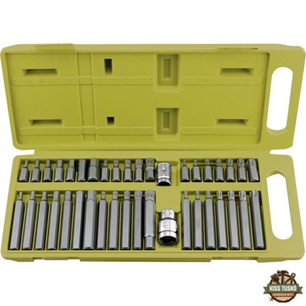 BIT klt. 40 db HEX-TORX-XZN, 10mm, adapter 3/8" és 1/2", CrV, műanyag dobozban