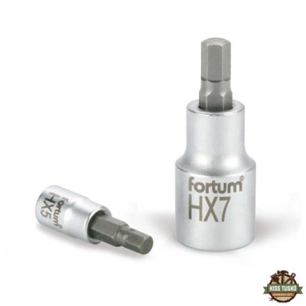 bitdugófej, imbusz, 1/2", 61CrV5/S2, mattkróm; 8mm (HX8), 55mm FORTUM
