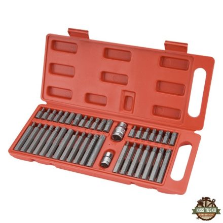 BIT klt. 40 db HEX-TORX-XZN, 10mm, adapter 3/8" és 1/2", CrV, műanyag dobozban