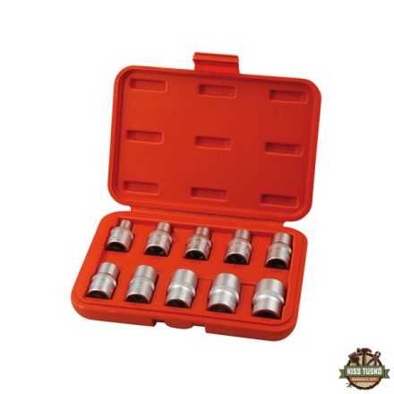 bitdugófej klt. belső, 10db, TORX,  1/2"×38mm (E8-10-11-12-14-16-18-20-22-24), CrV/S2