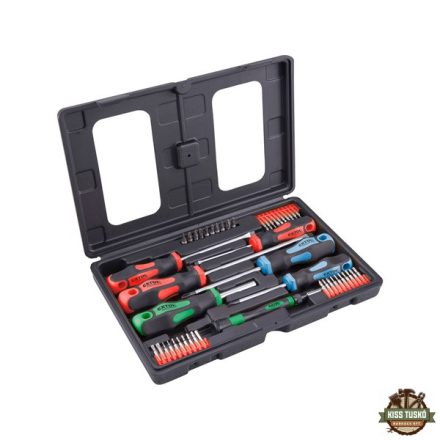 csavarhúzó és BIT klt., 47 db; lapos: 5,5×38, 5,5×100, 6,5×125mm és 8×150mm, PH1×75, PH2×38 és PH2×125, CV., műanyag tar