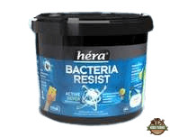 Héra bacteria - 2,5 Liter